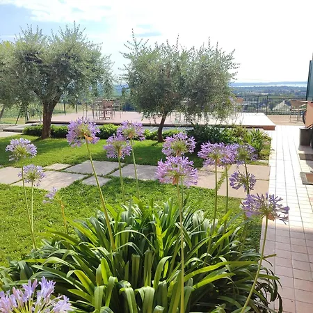 View&free Parking